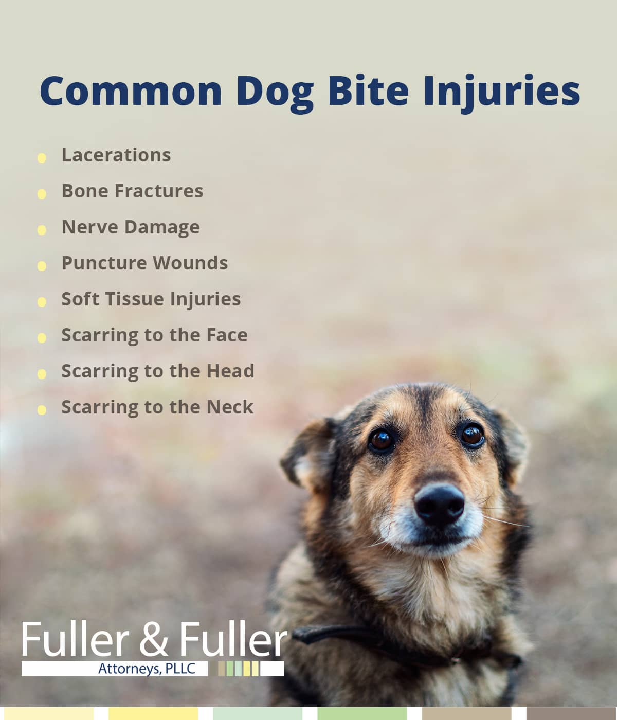 dog bite injuries